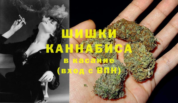 СК Семилуки