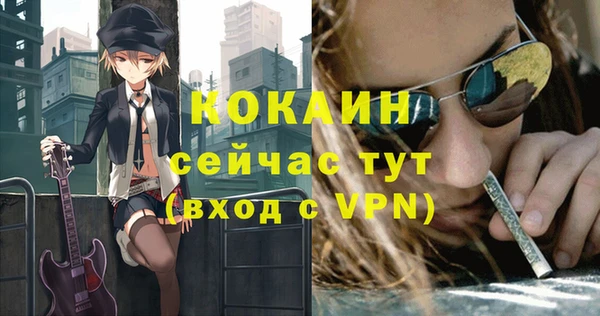 СК Семилуки