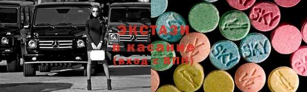 дживик Снежногорск