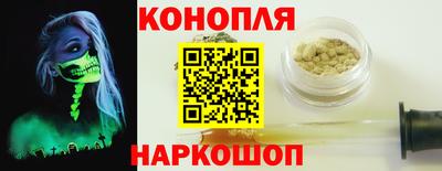 гидропоника Дубна