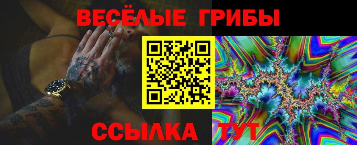 Черногорск  Псилоцибиновые грибы прущие грибы  Вход с VPN 